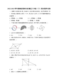 2022-2023学年湖南省株洲市荷塘区八年级（下）期末数学试卷（含解析）