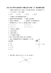 2022-2023学年山东省济宁市微山县七年级（下）期末数学试卷（含解析）