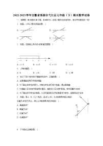 2022-2023学年安徽省芜湖市弋江区七年级（下）期末数学试卷（含解析）