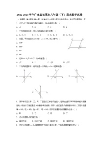 2022-2023学年广东省汕尾市八年级（下）期末数学试卷（含解析）