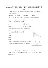 2022-2023学年湖南省长沙市华益中学七年级（下）期末数学试卷（含解析）