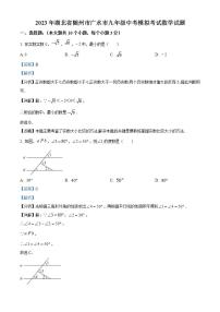 2023年湖北省随州市广水市中考模拟数学试题（解析版）