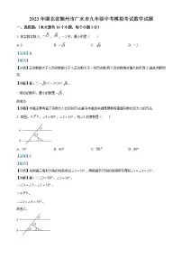 2023年湖北省随州市广水市中考模拟数学试题（解析版）