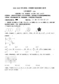 河北省廊坊市第十中学2022-2023学年七年级下学期期中数学试题(无答案)