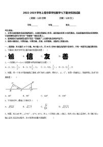 2022-2023学年上海华亭学校数学七下期末检测试题含答案