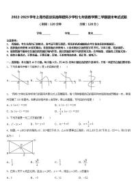 2022-2023学年上海市嘉定区南翔镇怀少学校七年级数学第二学期期末考试试题含答案