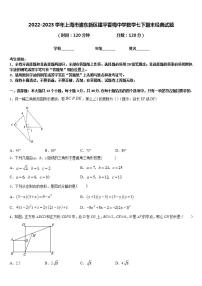 2022-2023学年上海市浦东新区建平香梅中学数学七下期末经典试题含答案