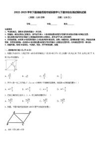 2022-2023学年下期湖南岳阳市城区数学七下期末综合测试模拟试题含答案