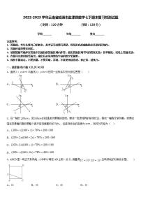 2022-2023学年云南省昭通市盐津县数学七下期末复习检测试题含答案