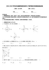 2022-2023学年吉林省朝鲜族四校联考七下数学期末质量跟踪监视试题含答案