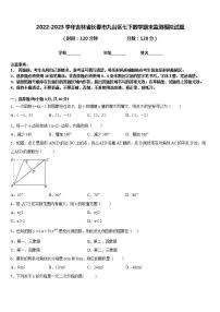 2022-2023学年吉林省长春市九台区七下数学期末监测模拟试题含答案