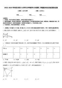 2022-2023学年四川师大七中学九中学数学七年级第二学期期末综合测试模拟试题含答案