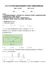 2022-2023学年四川省南充市嘉陵区数学七年级第二学期期末监测模拟试题含答案