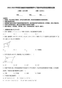 2022-2023学年四川省南充市南部县数学七下期末学业质量监测模拟试题含答案