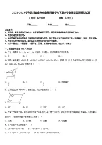 2022-2023学年四川省南充市南部县数学七下期末学业质量监测模拟试题含答案