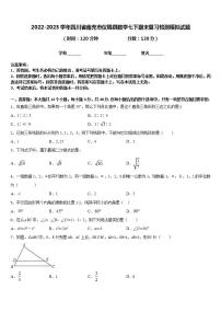 2022-2023学年四川省南充市仪陇县数学七下期末复习检测模拟试题含答案