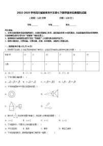 2022-2023学年四川省宜宾市兴文县七下数学期末经典模拟试题含答案