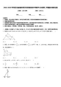 2022-2023学年四川省成都市青羊区树德实验中学数学七年级第二学期期末调研试题含答案