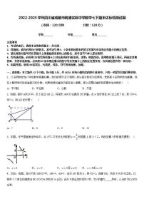 2022-2023学年四川省成都市树德实验中学数学七下期末达标检测试题含答案