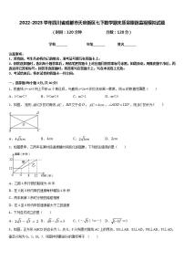 2022-2023学年四川省成都市天府新区七下数学期末质量跟踪监视模拟试题含答案