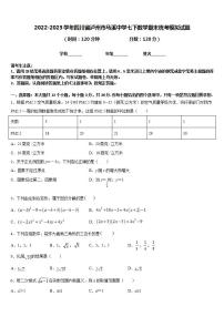 2022-2023学年四川省泸州市马溪中学七下数学期末统考模拟试题含答案