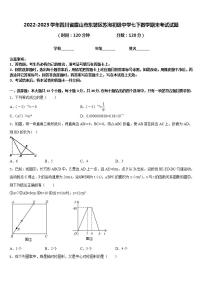 2022-2023学年四川省眉山市东坡区苏洵初级中学七下数学期末考试试题含答案