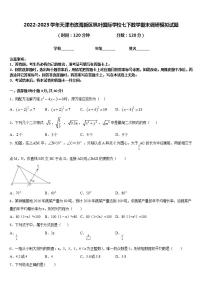 2022-2023学年天津市滨海新区枫叶国际学校七下数学期末调研模拟试题含答案