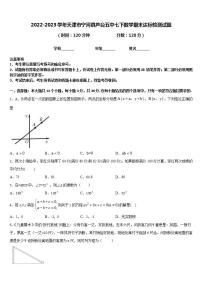 2022-2023学年天津市宁河县芦台五中七下数学期末达标检测试题含答案