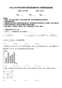 2022-2023学年天津市宁河区北淮淀镇中学七下数学期末监测试题含答案