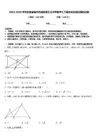 2022-2023学年安徽省亳州市涡阳县王元中学数学七下期末综合测试模拟试题含答案