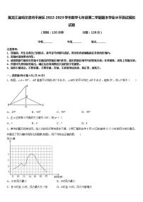 黑龙江省哈尔滨市平房区2022-2023学年数学七年级第二学期期末学业水平测试模拟试题含答案