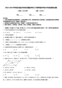 2022-2023学年四川省达州市东辰国际学校七下数学期末学业水平测试模拟试题含答案