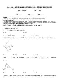 2022-2023学年四川省绵阳东辰国际学校数学七下期末学业水平测试试题含答案