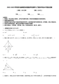 2022-2023学年四川省绵阳东辰国际学校数学七下期末学业水平测试试题含答案