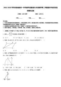 2022-2023学年安徽省亳州一中学南学校国际部七年级数学第二学期期末学业质量监测模拟试题含答案