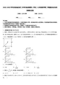 2022-2023学年安徽省合肥二中学内地西藏班（学校）七年级数学第二学期期末达标检测模拟试题含答案