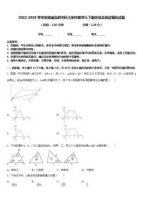 2022-2023学年安徽省合肥市科大附中数学七下期末综合测试模拟试题含答案