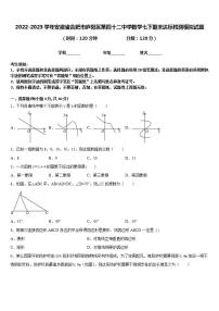 2022-2023学年安徽省合肥市庐阳区第四十二中学数学七下期末达标检测模拟试题含答案