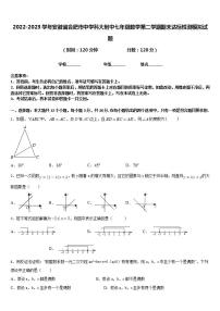 2022-2023学年安徽省合肥市中学科大附中七年级数学第二学期期末达标检测模拟试题含答案