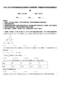 2022-2023学年安徽省芜湖无为县联考七年级数学第二学期期末学业质量监测模拟试题含答案