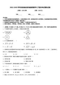 2022-2023学年安徽省芜湖市南陵县数学七下期末考试模拟试题含答案