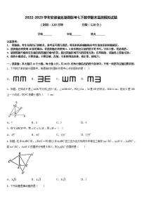 2022-2023学年安徽省芜湖县联考七下数学期末监测模拟试题含答案