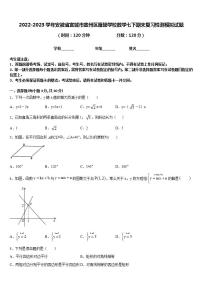 2022-2023学年安徽省宣城市宣州区雁翅学校数学七下期末复习检测模拟试题含答案