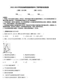 2022-2023学年安徽省阜阳临泉县联考七下数学期末监测试题含答案