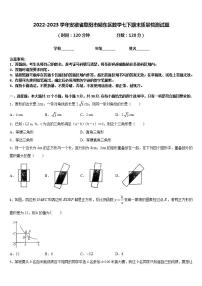 2022-2023学年安徽省阜阳市颍东区数学七下期末质量检测试题含答案