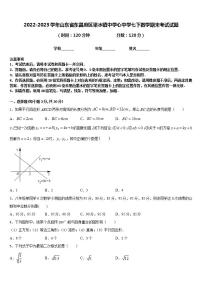 2022-2023学年山东省东昌府区梁水镇中学心中学七下数学期末考试试题含答案