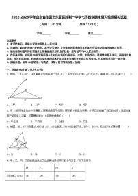 2022-2023学年山东省东营市东营区胜利一中学七下数学期末复习检测模拟试题含答案