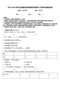 2022-2023学年山东省德州市夏津双语中学数学七下期末考试模拟试题含答案