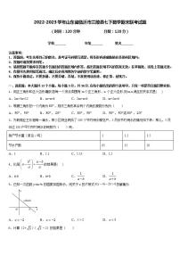 2022-2023学年山东省临沂市兰陵县七下数学期末联考试题含答案