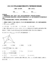 2022-2023学年山东省临沂市野店中学七下数学期末复习检测试题含答案